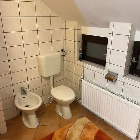 Apartma Anastasija 公寓 *