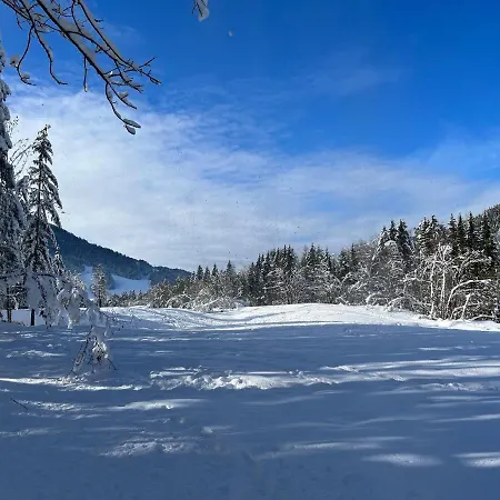 Apartment Apartma Anastasija Kranjska Gora