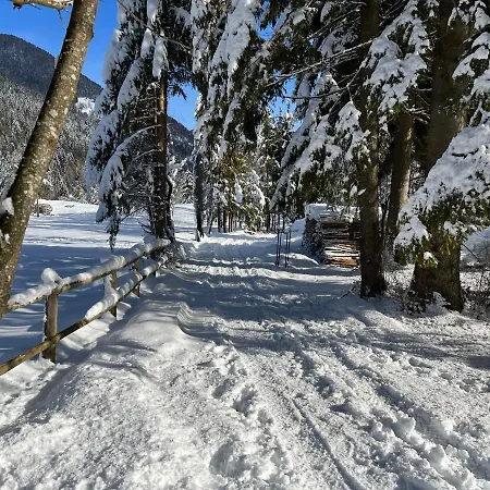 Apartma Anastasija Apartment *